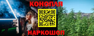 прущие грибы Краснодар