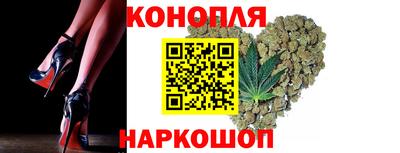 прущие грибы Краснодар