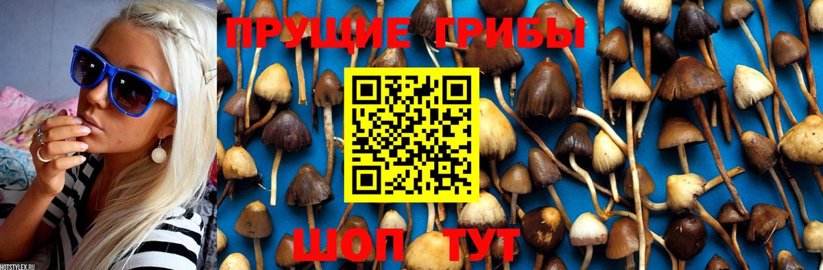 Псилоцибиновые грибы Magic Shrooms Еманжелинск